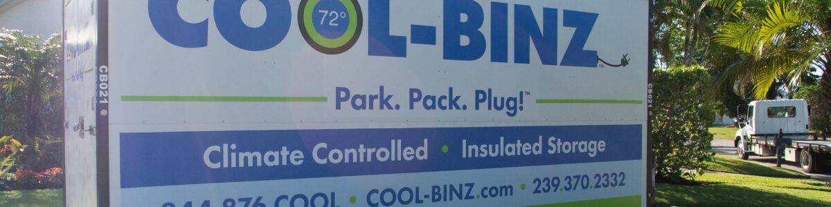 portable storage business for sale